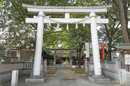 【だんじり2024】堺市西区・大鳥美波比神社の例祭「鳳だんじり祭」が開催されます！！