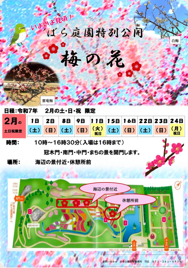 【イベント】いよいよ見頃！ばら庭園にて「梅の花」が特別公開されるそうです！　